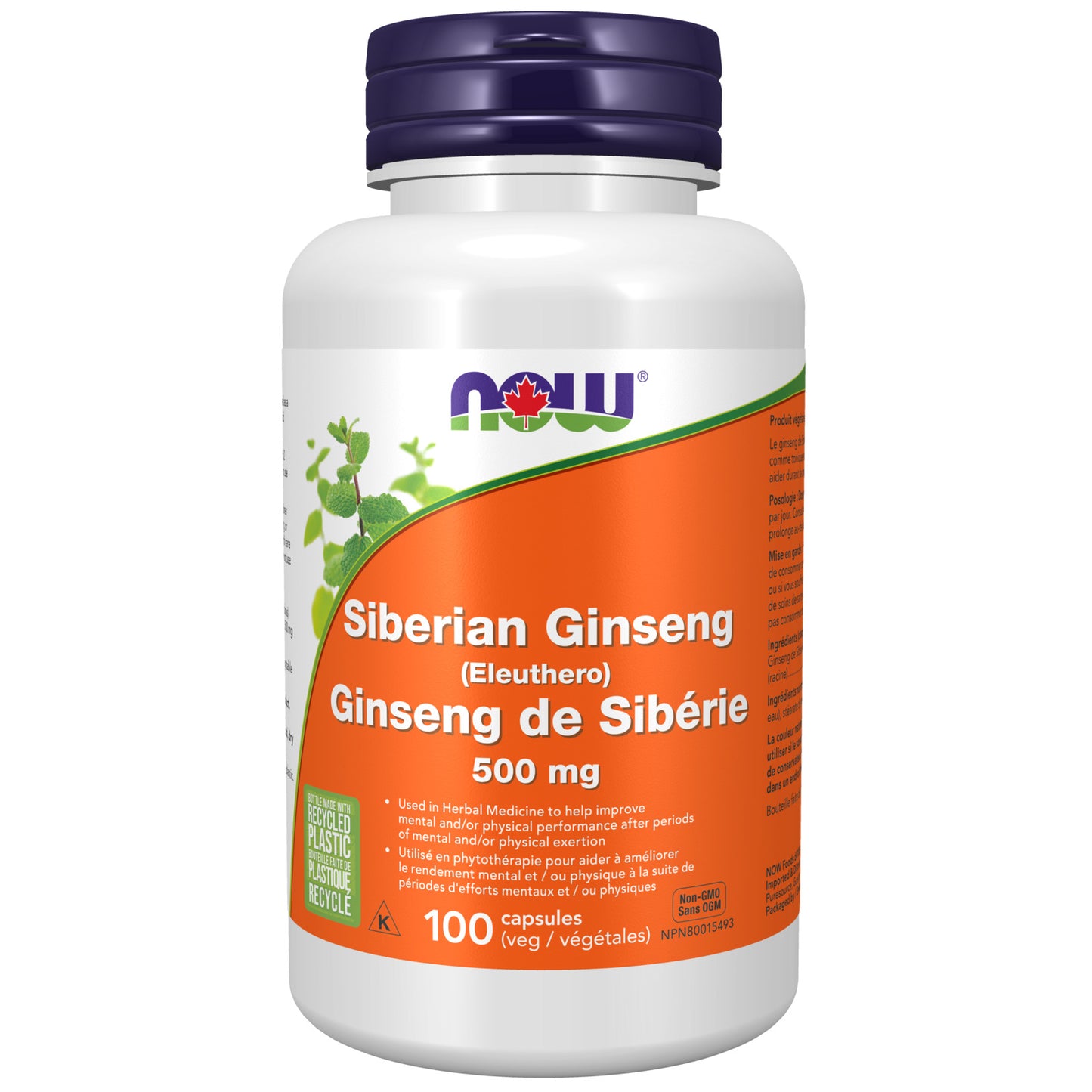 SIBERIAN-GINSENG