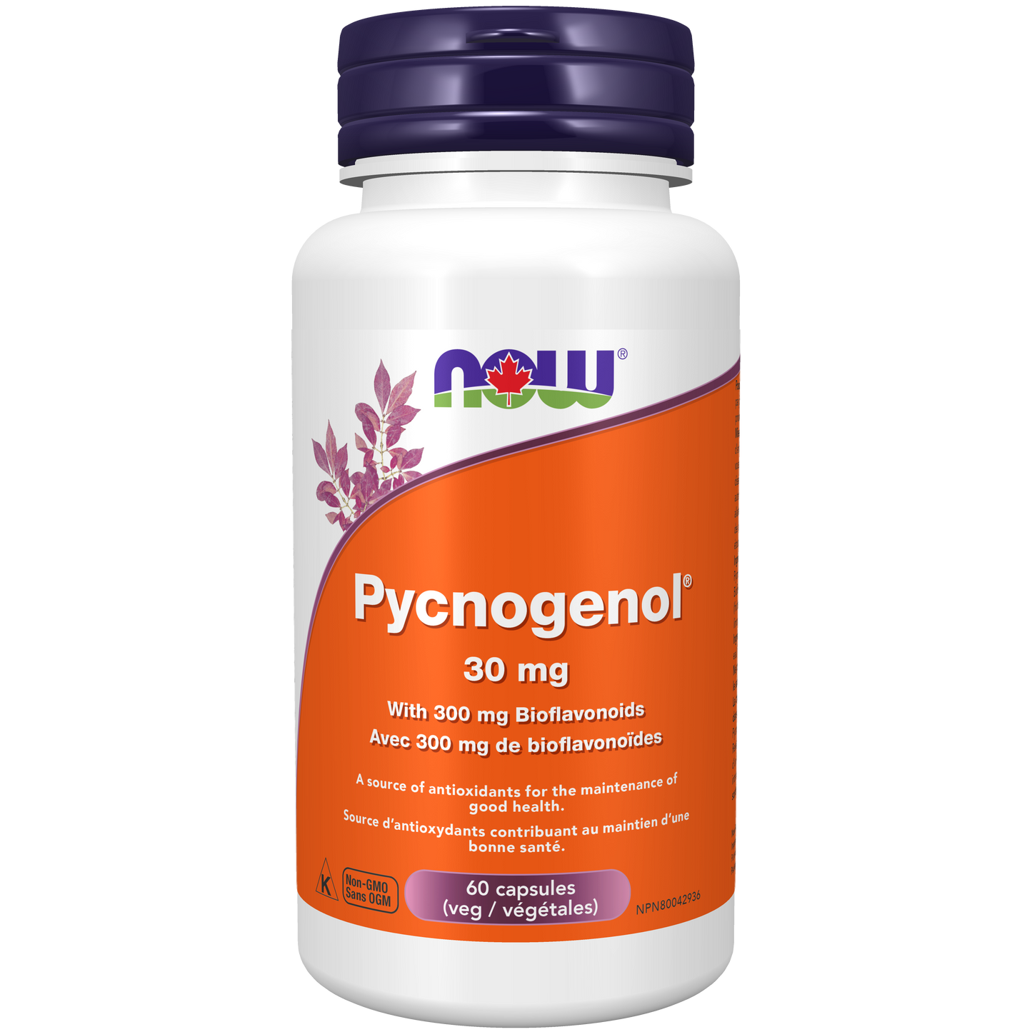 PYCNOGENOL