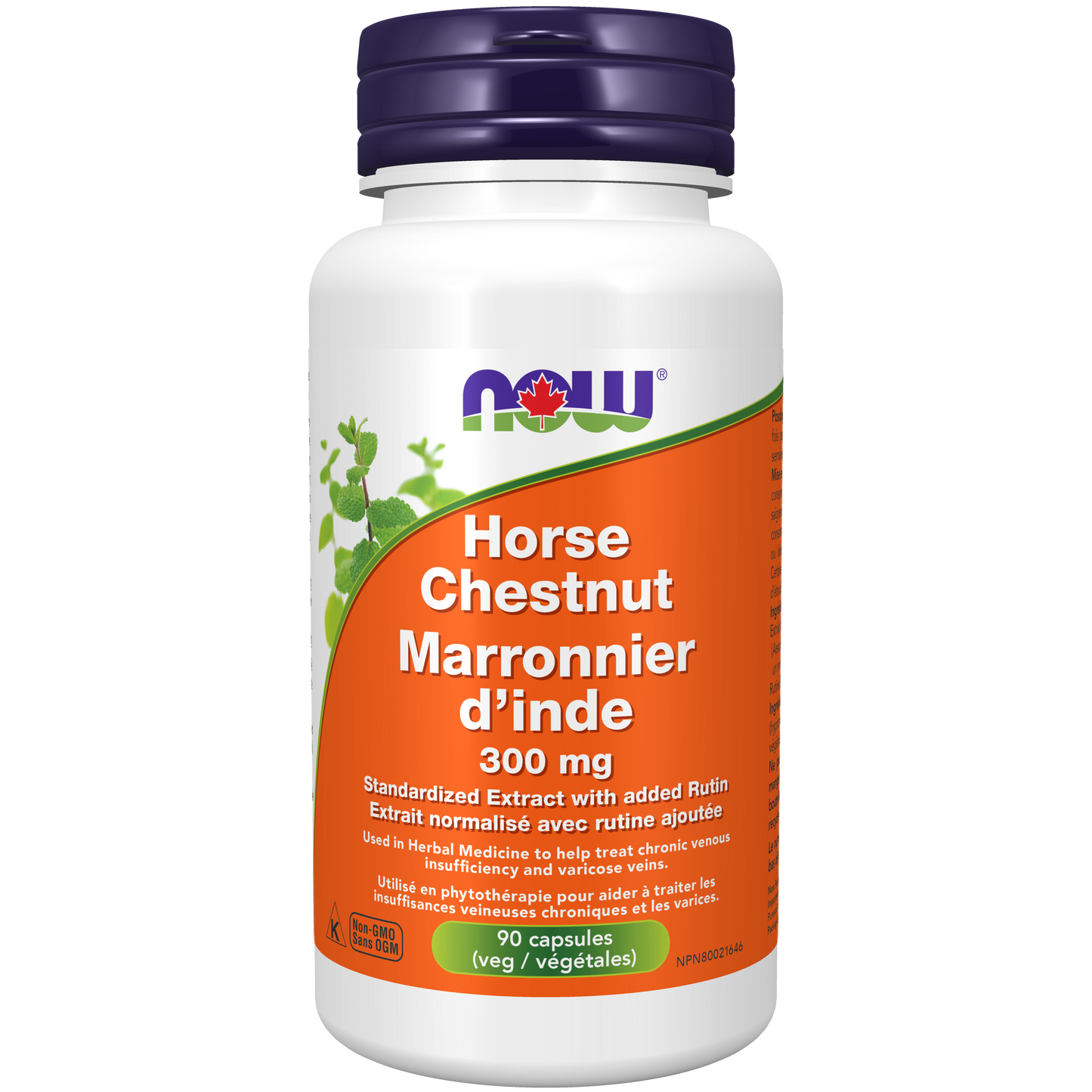 HORSE-CHESTNUT