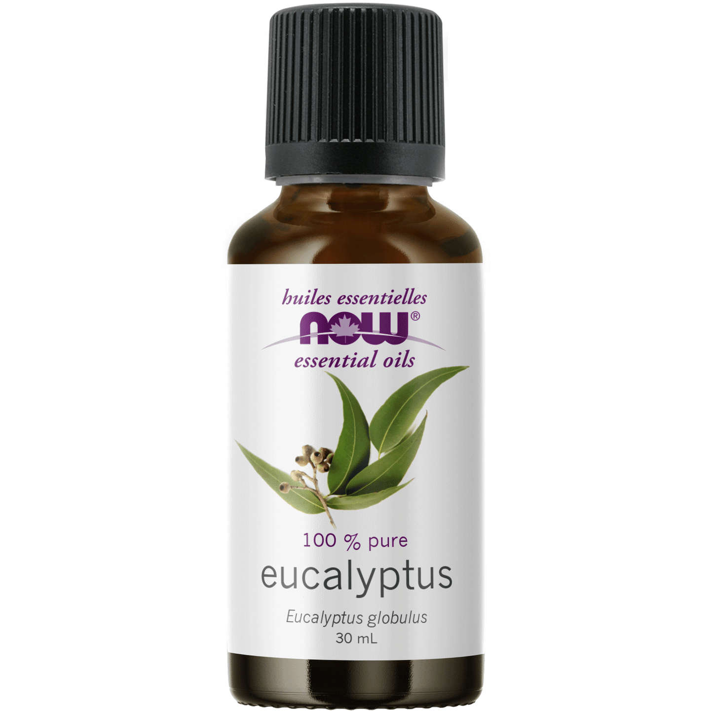 EUCALYPTUS
