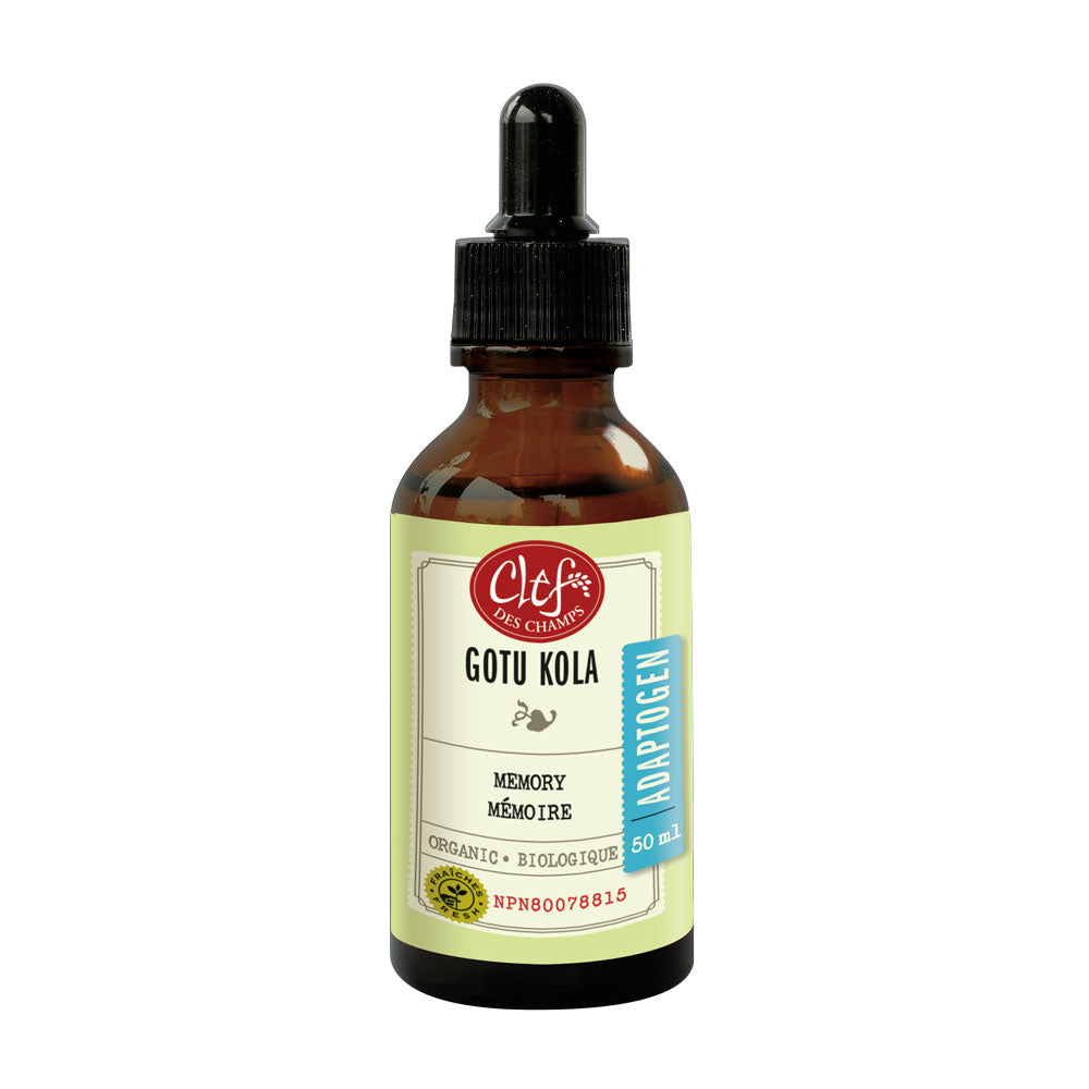 GOTU-KOLA-TINCTURE-50-ML-Schon's-Natural