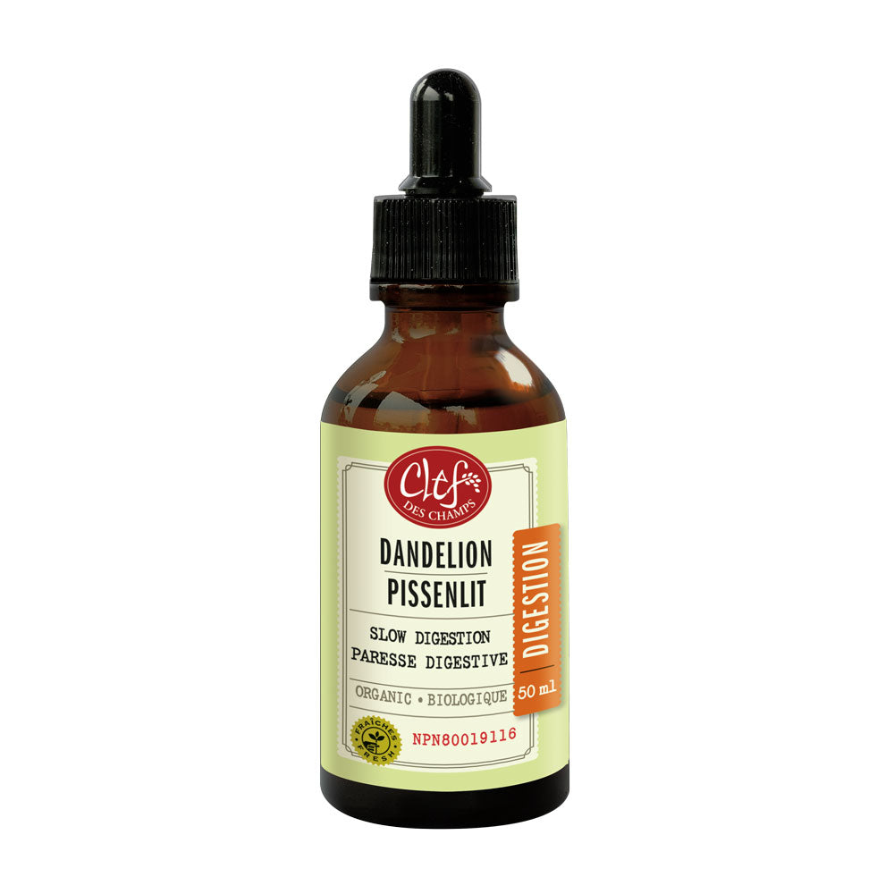 DANDELION TINCTURE 50ML - Schon's Natural