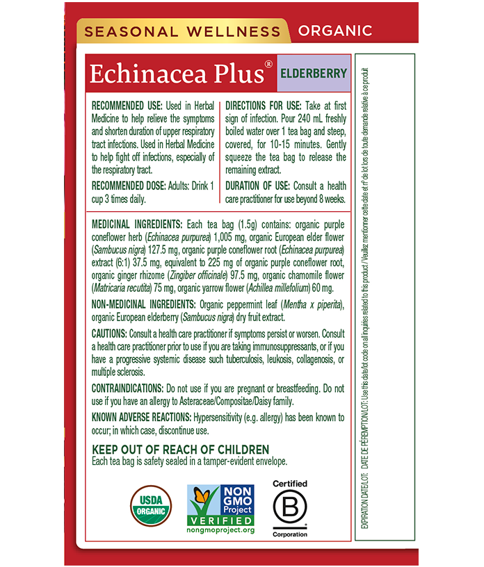 ELDEBERRY-TEA-2