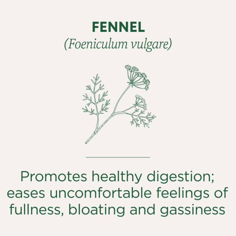 FENNEL TEA