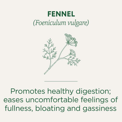 FENNEL TEA