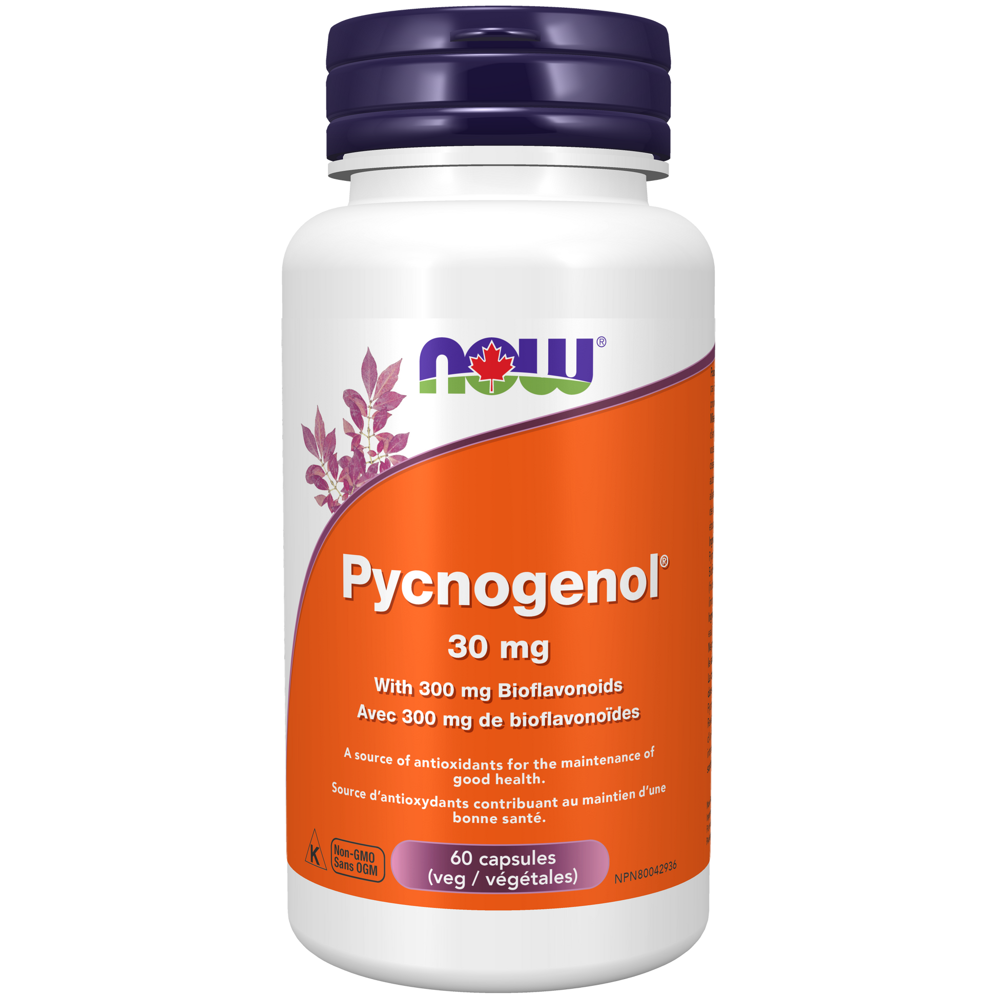 PYCNOGENOL