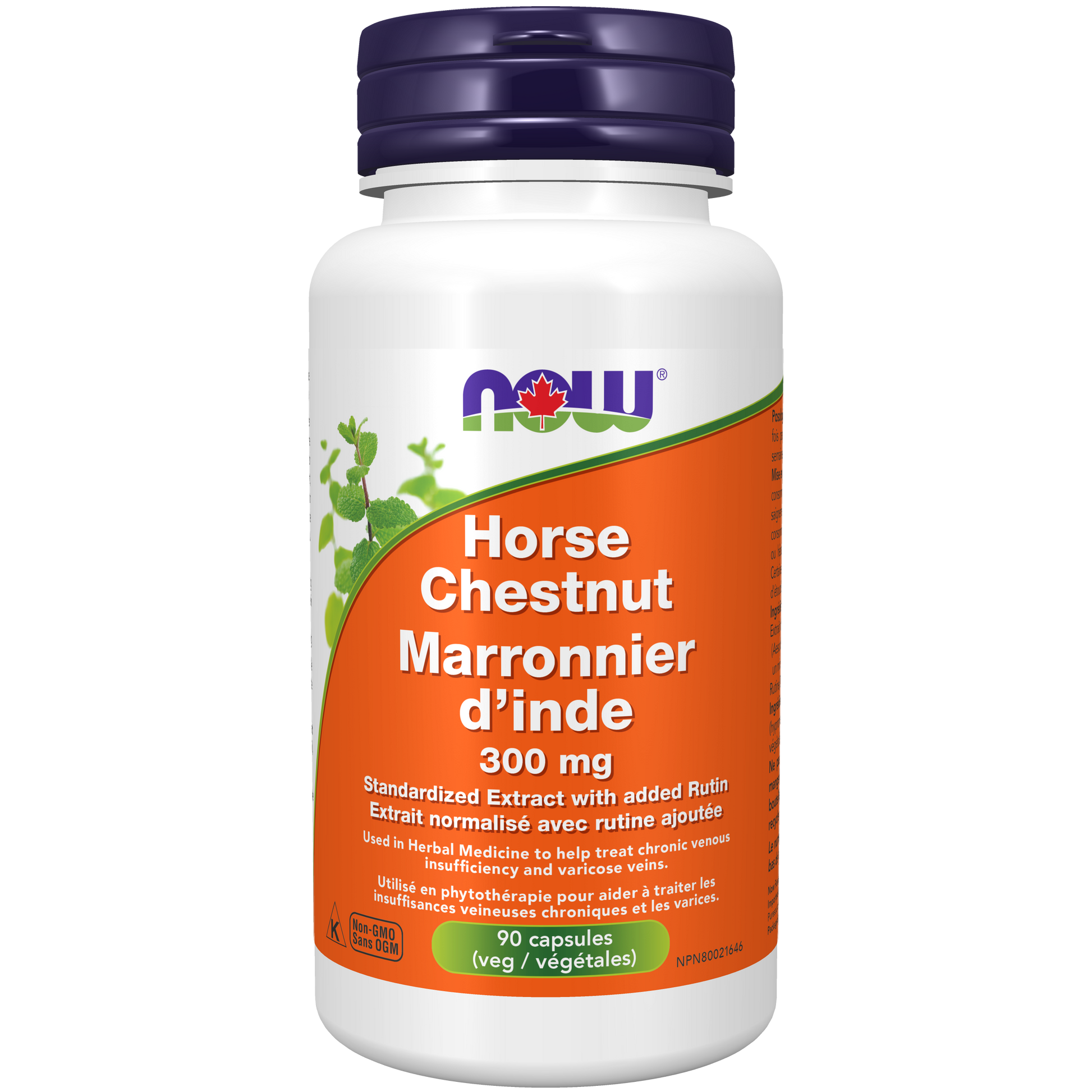HORSE-CHESTNUT
