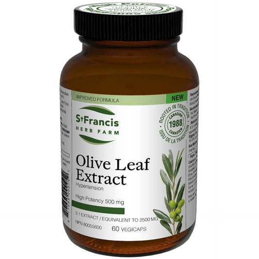 OLIVE LEAF EXTRACT 500 mg